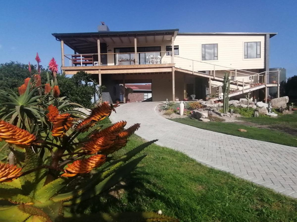 A Real Gem In Cape St Francis Villa เคปเซนต์ฟรานซิส ภายนอก รูปภาพ